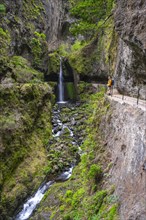 Levada do Moinho, Waterfall in a gorge, Ponta do Sol, Madeira, Portugal, Europe