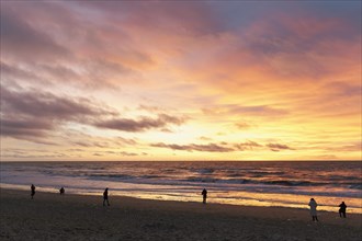 Individual tourists walking on the beach at sunset, Dutch North Sea coast, Bergen aan Zee, province North Holland, Netherlands