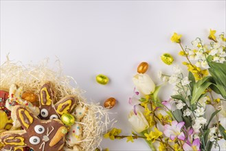 Colourfully decorated Easter biscuits in a nest, spring flowers, chocolate eggs, white background
