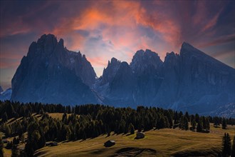 The peaks of the Sassolungo group in the sunset, Alpe di Siusi, Val Gardena, Dolomites, South Tyrol, Italy, Europe