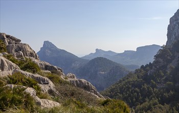 Serra de Tramuntana, Formentor Peninsula, Majorca, Balearic Islands, Spain, Europe