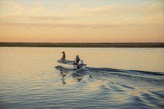 A man and a weimaraner dog on the boat at sunrise on Ria Formosa, Faro, Algarve, Potugal