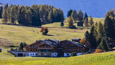 Hotel Ritsch surrounded by autumnal meadows and trees, Alpe di Siusi, Val Gardena, Dolomites, South Tyrol, Italy, Europe