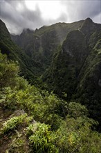 View of forested cloud-covered mountains and ravines, Levada do Caldeirao Verde, Parque Florestal das Queimadas, Madeira, Portugal, Europe
