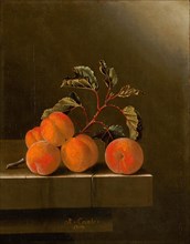Still Life with Five Apricots, painting by Adriaen Coorte