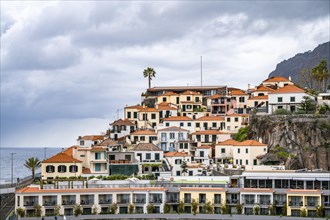 Hauser, Place Camara de Lobos, Madeira, Portugal, Europe