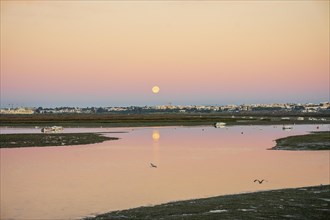 Early morning in Faro, waters of Ria Formosa with moon set and birds, Algarve, Portugal, Europe