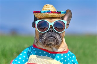 Cool French Bulldog dog dressed up with sunglasses, a colorful straw hat and poncho gown in front of blurry meadow in summer