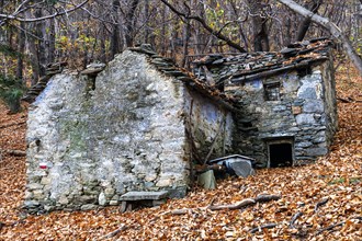 Rustico style stone house in ruins, Autumn, Cannobio, Lake Maggiore, Verbano-Cusio-Ossola, Piedmont, Italy, Europe