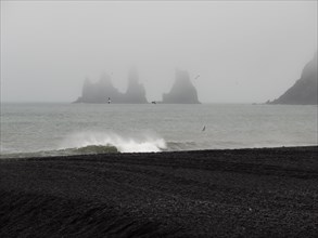 Rainy atmosphere, cliff in the fog, rock Reynisdrangar in the water, at Reynisfjara beach, black lava beach, Vik, South Iceland, Iceland, Europe