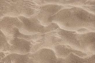 Sand