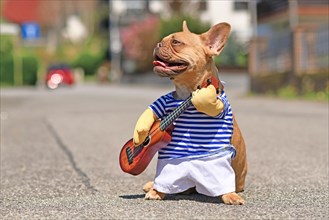 Red French Bulldog dog dressed up with street perfomer musician costume wearing striped shirt and fake arms holding a toy guitar standing in city street on sunny day