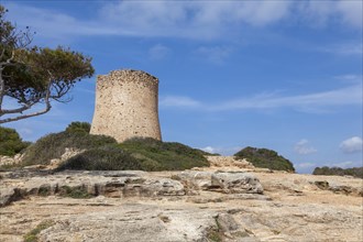 Torre de Cala Pi, medieval watchtower on the coast, Cala Pi, Majorca, Balearic Islands, Spain, Europe