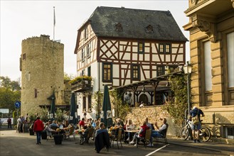 Wine bar, Eltville, Rhine, Rheingau, Hesse, Germany, Europe