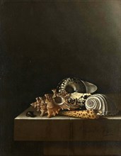 Shells on a Stone Pedestal, Painting by Adriaen Coorte