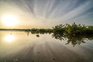 Sunrise by the mangroves, Kathior Island, Missirah, Sine Saloum Delta, Senegal, West Africa, Africa