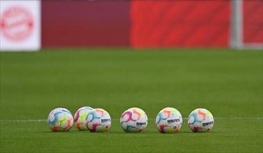 Adidas Derbystar match balls lie on grass, FC Bayern Munich logo, FCB, Allianz Arena, Munich, Bavaria, Germany, Europe