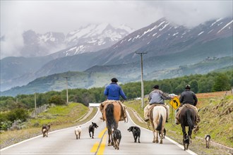 Three gauchos riding horses, accompanied by dogs, on a road in Villa Cerro Castillo, Cerro Castillo National Park, Aysen, Patagonia, Chile, South America