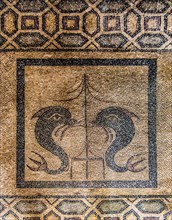 Mosaic floor with two dolphins from Kos, Grand Masters Palace built in the 14th century by the Johnnite Order, fortress and palace for the Grand Master, UNESCO World Heritage Site, Old Town, Rhodes To...