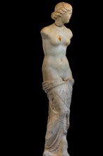 Cult statue of Aphrodite Aidoumene, early Hellenistic period, Archaeological Museum in the former Order Hospital of the Knights of St. John, 15th century, Old Town, Rhodes Town, Greece, Europe