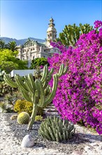 Bougainvillea and cactus garden, the casino building in the back, Casino Garden, Monte Carlo, Principality of Monaco