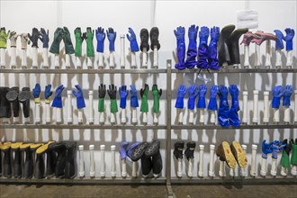 East Peoria, Illinois, Work gloves and boots are ready for employees at Sorce Freshwater, where invasive carp from the Illinois River are processed and packaged. The fish are sold under the name Shiru...