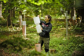 A staff member of the Northwest German Forest Research Institute checks a crown eaves collector on an experimental plot in a deciduous forest in Lower Saxony. Here, research is being conducted on how ...