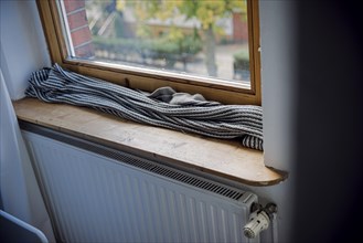 Symbolic photo on the subject of a cold flat. A blanket lies on the windowsill in front of a poorly insulated window to protect against cold air. Berlin, Berlin, Germany, Europe