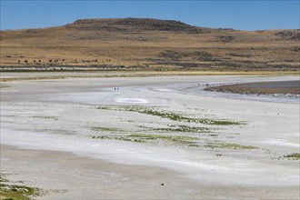 Salt Lake City, Utah, Falling water levels in Great Salt Lake requires those wanting to reach the water at Antelope Island State Park to hike a long distance. The lakes water level has fallen to a his...