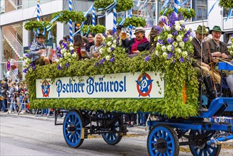 Festive procession, entry of the Wiesnwirte, flower-decorated float with waiters of the Festzelt Braeurosl, Oktoberfest, Munich, Upper Bavaria, Bavaria, Germany, Europe