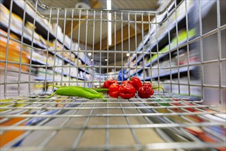 Shopping trolley with vegetables in a supermarket in Radevormwald, 08.06.2022. Radevormwald, Germany, Europe