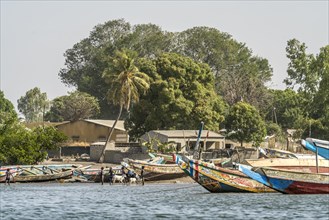 Djinack, Jinack Island, Sine Saloum Delta, Senegal, West Africa, Africa