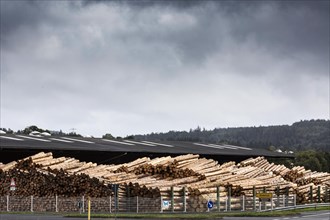 Timber yard at the sawmill, Stadtkyll, Rhineland-Palatinate, Germany, Europe