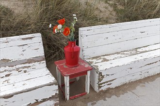 Red vase with artificial flowers between wooden benches, idyllic seating area on a dune path, Dutch North Sea coast, Bergen aan Zee, province North Holland, Netherlands