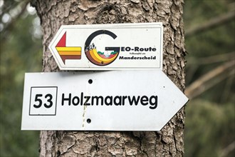 Holzmaar in the Volcanic Eifel, almost completely surrounded by forest, hiking trail, Holzmaarweg, geo-route, circular trail, maars, maar, lake, nature reserve, Gillenfeld, Rhineland-Palatinate, Germa...