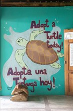 Tortuguero, Costa Rica, The Sea Turtle Conservancy visitor center next to Tortuguero National Park. Giant leatherback, hawksbill, and loggerhead turtles, along with the endangered green turtle, nest a...