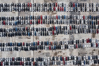 Hamtramck, Michigan, New Ford F-150 pickup trucks and other truck models are parked, unable to be sold, during the global shortage of semiconductor chips