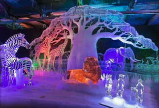 Theme Africa, Ice Sculpture Festival, Zwolle, Province Overijssel, Netherlands
