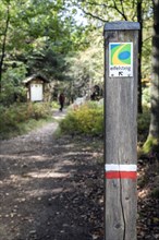 Kaiser Karls bedstead on the Steling on the Eifelsteig in the Muetzenischer Venn nature reserve, hiking trail, Northern Eifel, High Fens, Monschau, North Rhine-Westphalia, North Rhine-Westphalia, Germ...