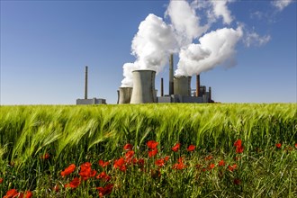 Neurath lignite-fired power plant in the Rhenish coalfield, fields, corn poppy, agriculture, Grevenbroich, North Rhine-Westphalia, Germany, Europe