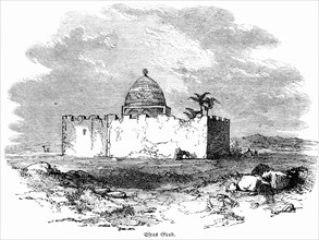 Ezra's Tomb, Landscape, Mosque, Wall, Dome, Palm Tree, Bible, Old Testament, The Book of Nehemiah, Historical Illustration c. 1850