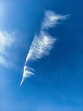 Feather cloud Cirrus Zirrus, ice cloud at high altitude, cloud image like seahorse, Germany, Europe