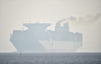 Container ship Evergreen in fog on the Elbe near Hamburg, Schleswig-Holstein, Germany, Europe