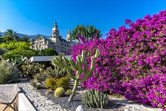Bougainvillea and cactus garden, the casino building in the back, Casino Garden, Monte Carlo, Principality of Monaco