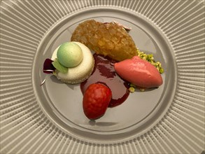 Raspberry meets pistachio dessert by Michelin-starred chef Alexander Dinter, Gourmet Restaurant Five, Stuttgart, Baden-Wuerttemberg, Germany, Europe