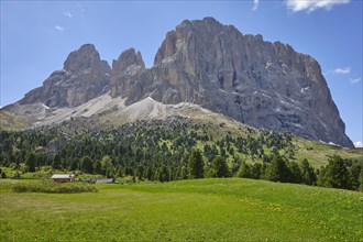 Sassolungo, Sella Pass, South Tyrol, Italy, Europe