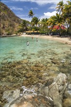 Plage du Pain de sucre beach, Terre-de-Haut island, Les Saintes, Guadeloupe, Caribbean, France, North America