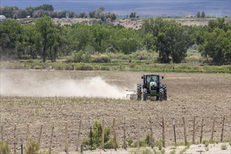 Olathe, Colorado, A farmer pulls a harrow to till a dry farm field in western Colorado