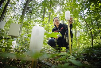 An employee of the Northwest German Forest Research Institute checks so-called tensiometers for the automatic recording of soil moisture on an experimental plot in a deciduous forest in Lower Saxony. ...