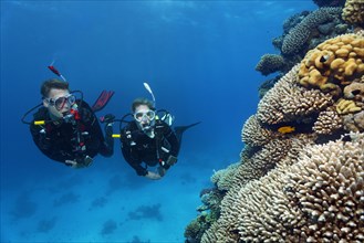 Diver, female diver, couple, two, looking at, looking at intact coral reef, Red Sea, Hurghada, Egypt, Africa